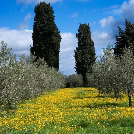 Ilune * Pitigliano