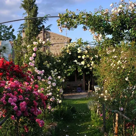Ilune Country house *