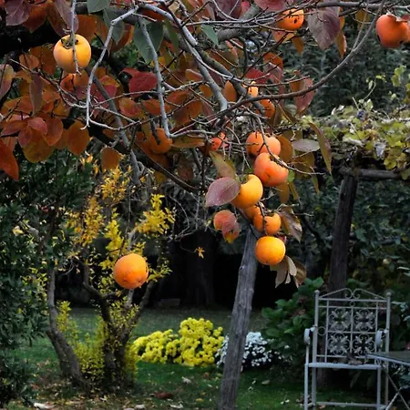 Country house Ilune Pitigliano