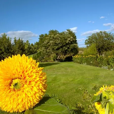Ilune Country house