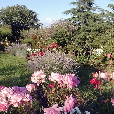 Country house Ilune Pitigliano